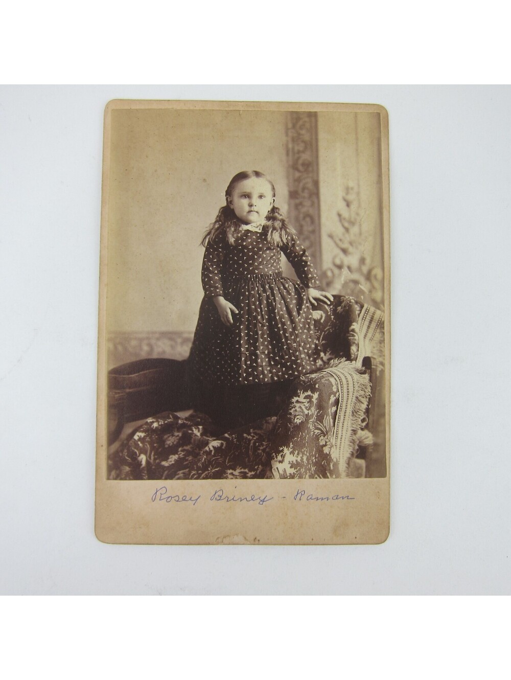 Cabinet Card Photograph Girl Pattern Dress Rosey Briney Raman Darke Ohio Antique